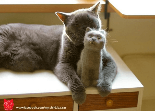 115426htvm9dl5h9vrdrra