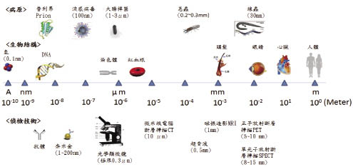 171659qpgp66ra5fypfjzj